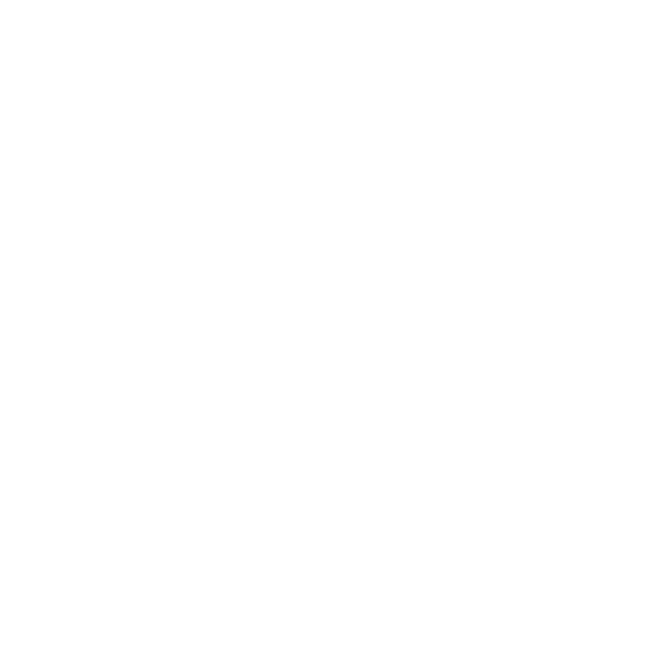 leapware-logomark-white